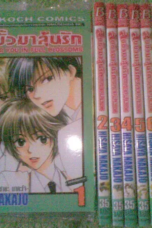ปกนิยาย [Sale] ขาย การ์ตูนบงกช (Bongkoch) ราคาถูก หลายเรื่องค่ะ