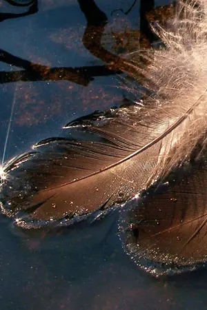 ปกนิยาย Remember  โปรดจำไว้ว่าฉันรักเธอ