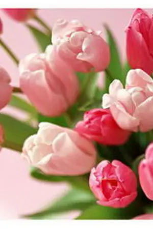 ปกนิยาย ความรัก กับ คนใกล้ตัว