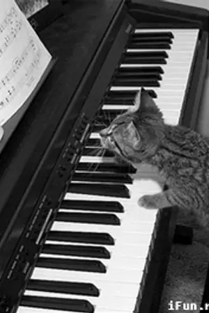 ปกนิยาย แจกโค้ดเพลงเพราะๆจ้า