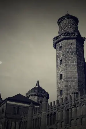 ปกนิยาย KILL !!!ONLINE!!!!!20+( โหด เลือดสาด แรง)