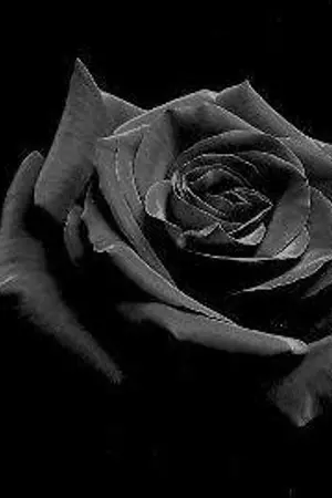 ปกนิยาย Vampire Princess