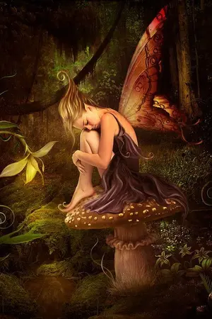 ปกนิยาย ข้อมูลโลกแฟนตาซี ~ ^___^