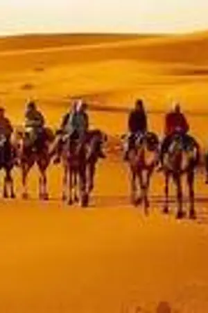 ปกนิยาย เม็ดทรายใต้ตะวัน