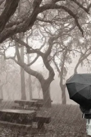 ปกนิยาย Mammory in the rain ความทรงจำในม่านฝน