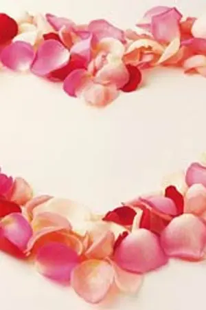 ปกนิยาย ส่วนประกอบของความรัก