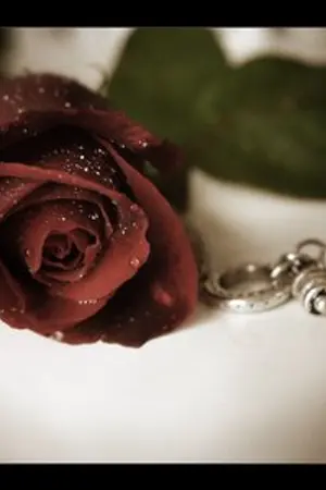 ปกนิยาย ลางบอกเหตุแบบโบราณ ! {ไม่เชื่ออย่าลบหลู่นะคะ} .