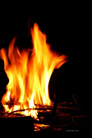 ปกนิยาย Fire of love เพลิงพรายกลายรัก (โน่ริท)