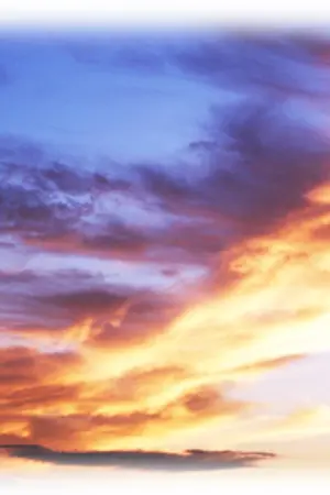 ปกนิยาย Cold Wind.