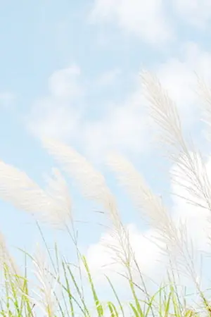 ปกนิยาย ผืนฟ้าแห่งรัก