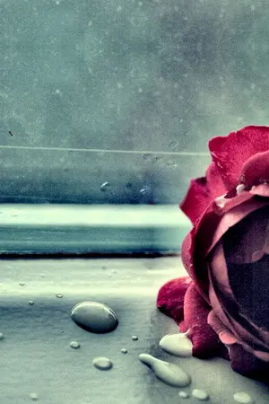 ปกนิยาย รักมันตรงกับเจ็บ[SJ SNSD TVXQ ETC.]