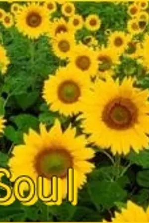 ปกนิยาย Soul บันทึกรัก...วิญญาณฝึกหัด