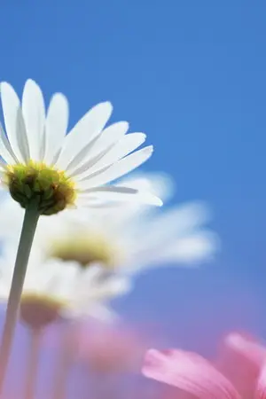 ปกนิยาย ติวหัวใจ...ให้รักเธอ