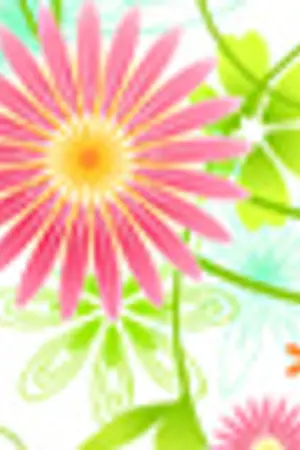 ปกนิยาย  Free Theme Witer 