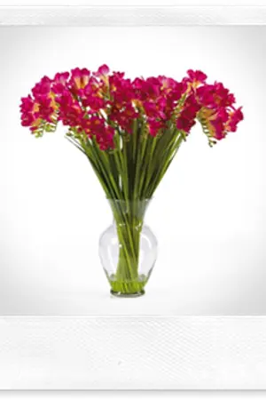 ปกนิยาย โสเภณีนางบำเรอ