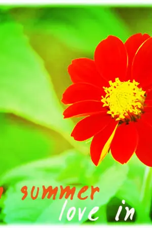 ปกนิยาย ☀Love in summer ※ ระวังนะ ! ฤดูนี้รักร้อนแรง ;)