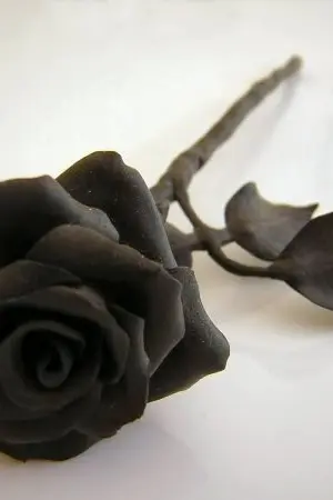 ปกนิยาย BLACK ROSE ดอกกุหลาบสีดำ