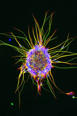 ปกนิยาย Easy Biology ชีววิทยาระดับม.ปลาย