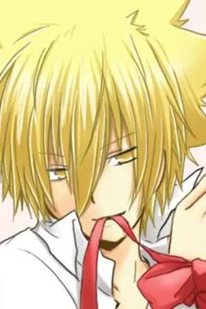 ปกนิยาย Fic reborn : Primo's lover รักวุ่นๆฉบับวองโกเล่พรีโม่ [G86]