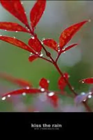 ปกนิยาย แปล & วิจารณ์เพลง