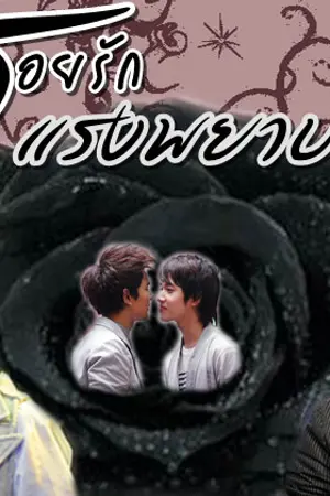 ปกนิยาย รอยรัก แรงพยาบาท (GunRit)