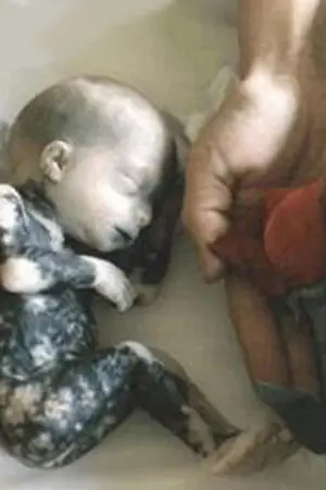 ปกนิยาย Dwell : สายใยสถิต