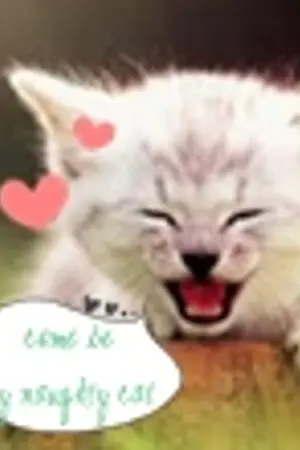 ปกนิยาย Come be my naughty cat รักเธอยัยเหมียวตัวร้าย