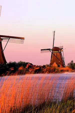 ปกนิยาย The Happy Prince ( ภาคต้นฉบับ )