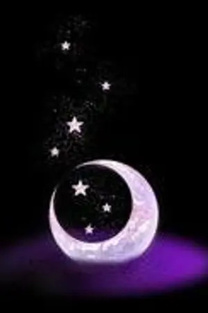 ปกนิยาย แสงจันทร์ แสงดาว