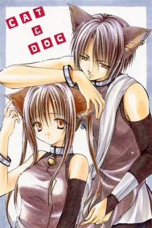 ปกนิยาย School  of cat โรงเรียนอลวน ของคนหูแมว