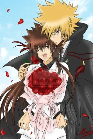 ปกนิยาย FIC _ REBORN  G27 มาเฟียที่รัก