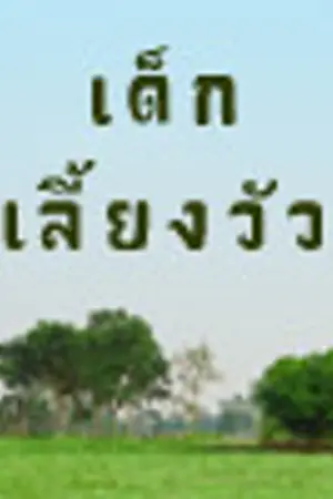 ปกนิยาย เด็กเลี้ยงวัว