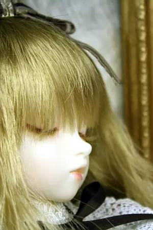 ปกนิยาย รวมภาพการ์ตูนเจ้าค่าาาาาาาาา >o<