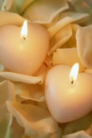 ปกนิยาย ความรักคือแสงเทียน