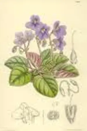 ปกนิยาย คู่เเค้น...เเสนรัก