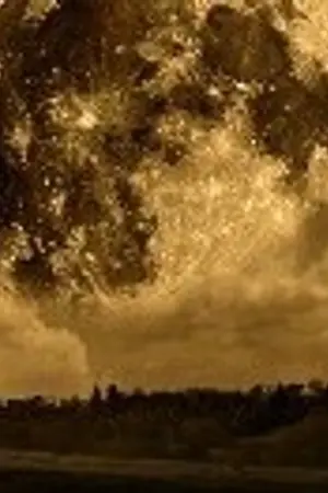 ปกนิยาย นาซิกน์ ซายน์   สายเลือดสุดท้ายตระกูลมหาเวทย์