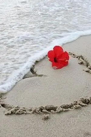 ปกนิยาย song my dear ปฏิบัติการท้าทายหัวใจยัยทอมบอย