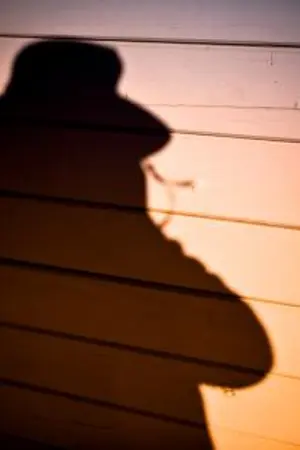 ปกนิยาย Six Shadow : Background