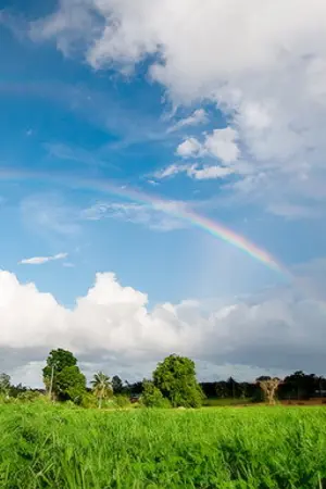 ปกนิยาย โรงเรียนคุ้มภัย