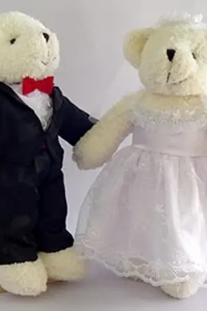 ปกนิยาย วิวาแค้นแสนรัก