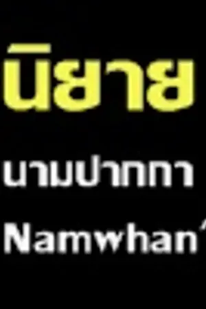 ปกนิยาย