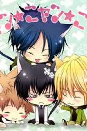 ปกนิยาย [fic reborn ] 1827 melody love นายตัวร้าย กับ ยัยน่ารัก !!!