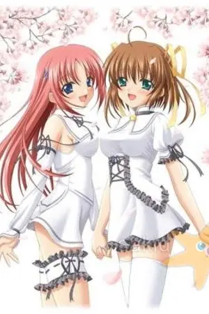 ปกนิยาย นาเดชิโกะ การพบพานอันเเสนเศร้า