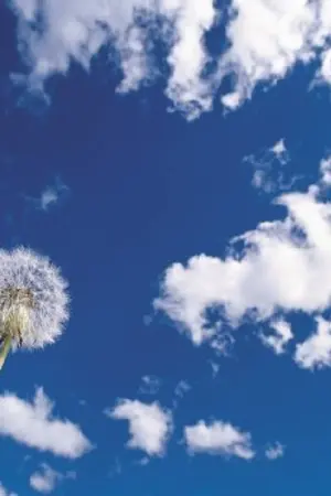 ปกนิยาย USC ชมรมป่วนวิบลังก้า![รับสมัครตัวละคร]