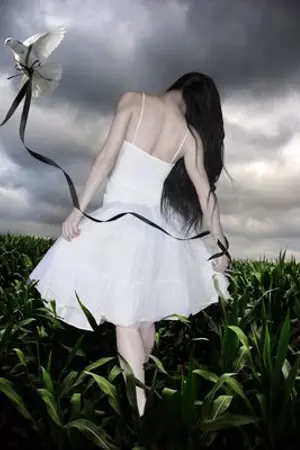 ปกนิยาย กาลเวลานำพารัก The period of time lead to love