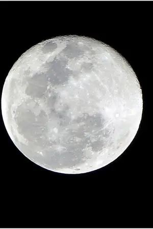 ปกนิยาย School of devil