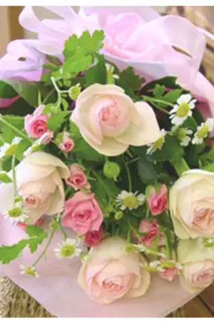 ปกนิยาย บริษัท[นักวาด]ตามสืบไม่จำกัด