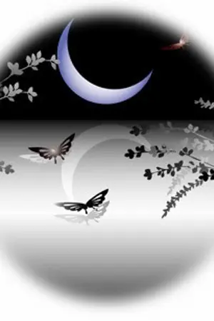 ปกนิยาย ฝ้าเพดาน