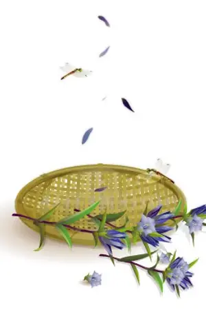 ปกนิยาย หน่วยที่ 6 แห่งชินเซ็นกุมิ