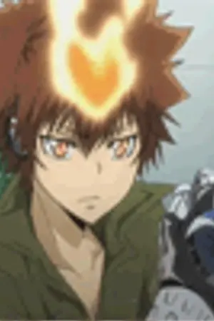 ปกนิยาย REBORN !! จ.แจกแหลก !!